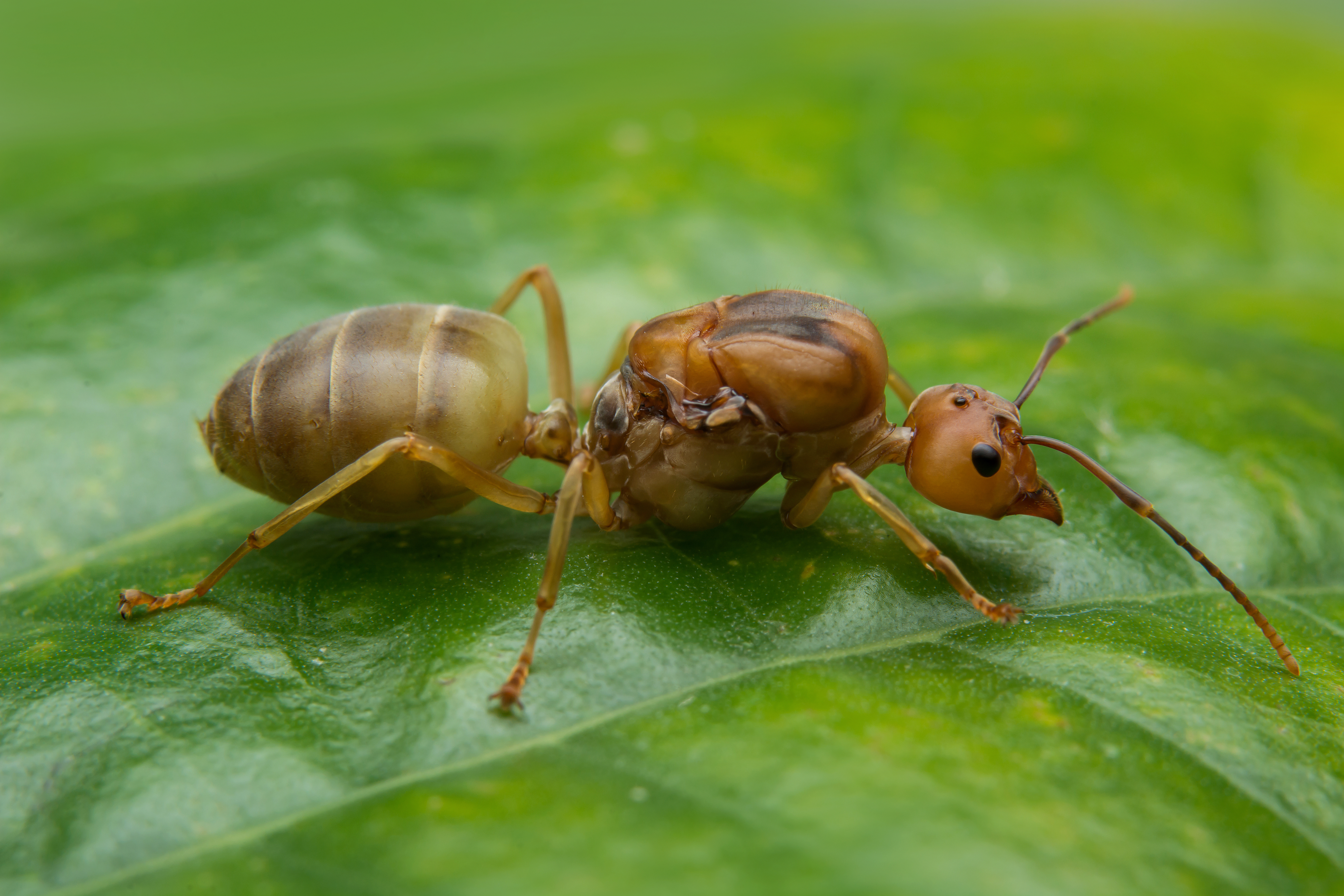 Integrated Solutions